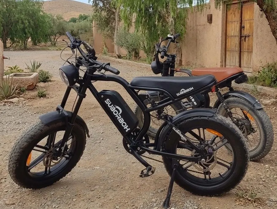 Electric bike in the oasis