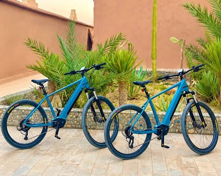E-Bike Adventure in the desert