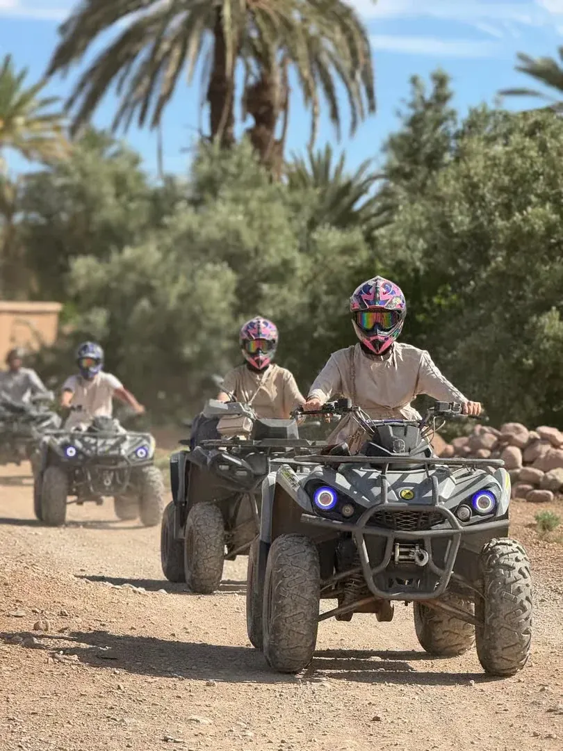 Oasis Expedition