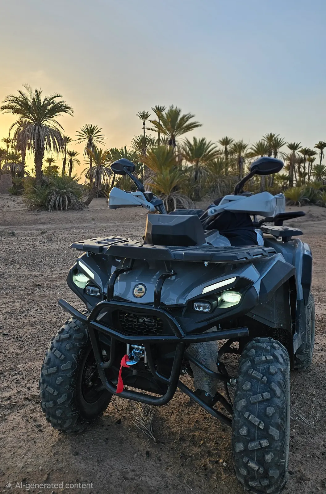 Quad 300 vehicle